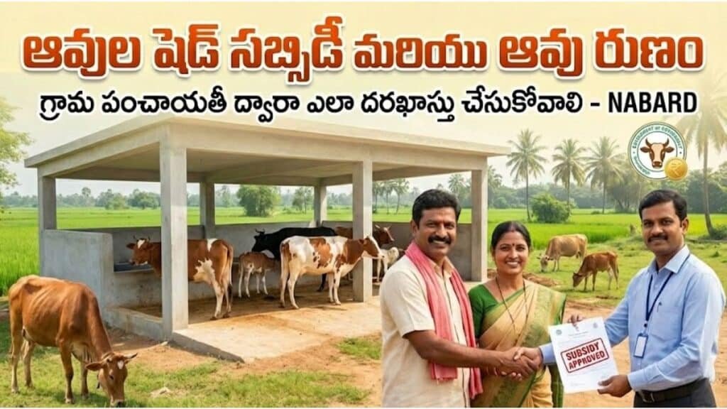 Cow Shed Subsidy and Cow Loan Guide Telugu
