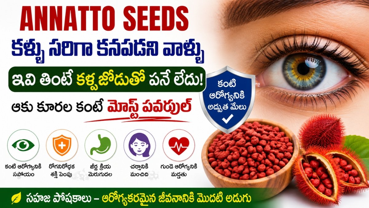 Annatto Seeds గింజలు మరియు వాటి కంటి ఆరోగ్య ప్రయోజనాలను చూపించే సమాచారం