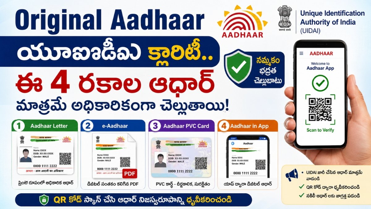 Original Aadhaar గురించి UIDAI తెలిపిన నాలుగు అధికారిక ఆధార్ రూపాలను చూపించే సమాచారం